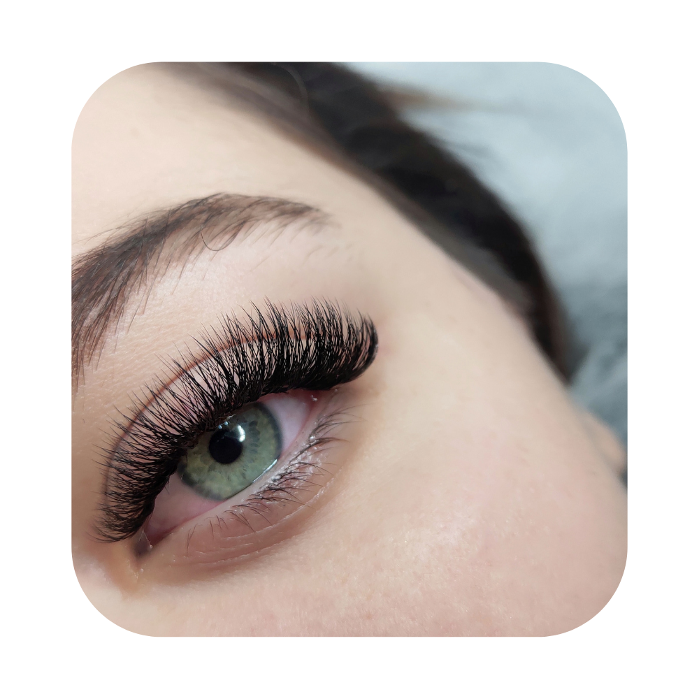 Lash Strip w/Application